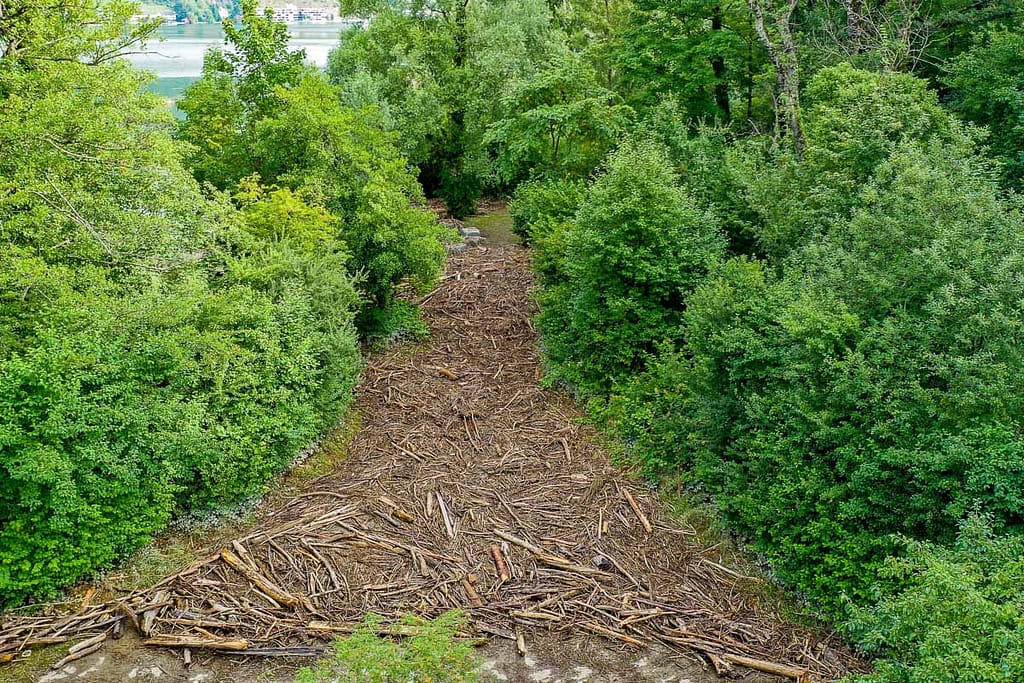 Bielersee flood debris